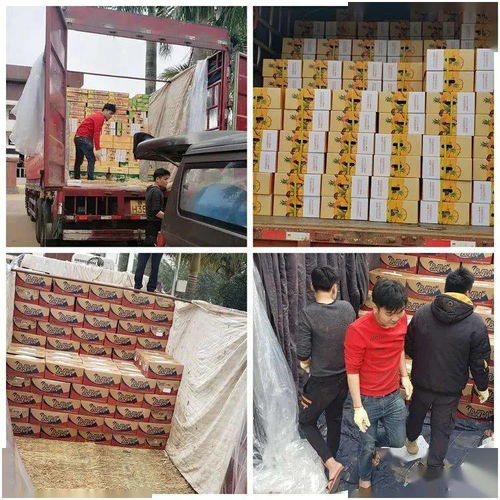 同舟共冀，共同戰“疫”——河北博泉集團捐贈32噸澄邁農產品支援抗疫一線